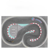 TG Super 1/24 RC DRIFT CAR Collection