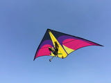 Remote Control Delta Wing Paraglider 1.65M PNP RTF