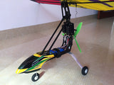 Remote Control Delta Wing Paraglider 1.65M PNP RTF