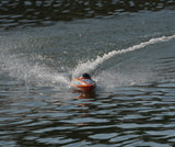 TYXIN TX822 Brushless Remote Control Boat 75cm 50km/h  RTR