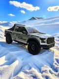 TRACTION HOBBY KM F150 1/8 Raptor F150 Pickup BRUSHED Remote Control Car  RTR