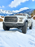 TRACTION HOBBY KM F150 1/8 Raptor F150 Pickup BRUSHED Remote Control Car  RTR