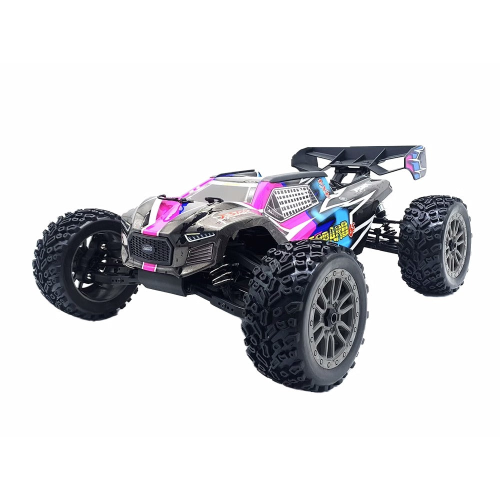 FS RACING Leopard 6S Brushless Power Remote Control Off-road